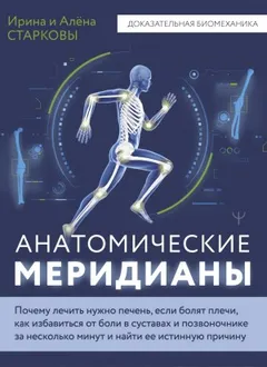 Анатомические меридианы