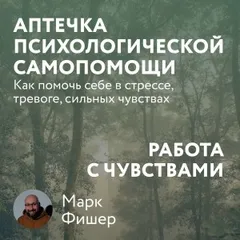 Аптечка психологической самопомощи: Работа с чувствами