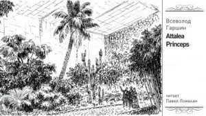 Attalea princeps