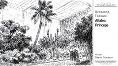 Attalea princeps