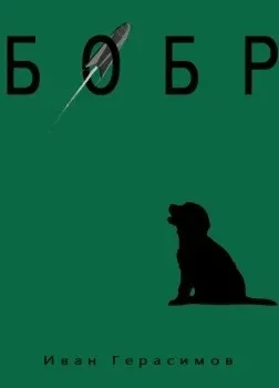 Бобр