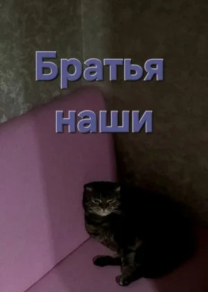 Братья наши
