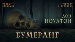 Бумеранг