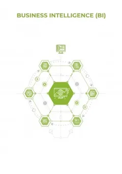 Business Intelligence (BI)
