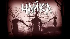 Чайка