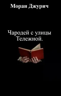 Чародей с улицы Тележной
