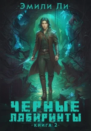 Черные лабиринты. Книга 2