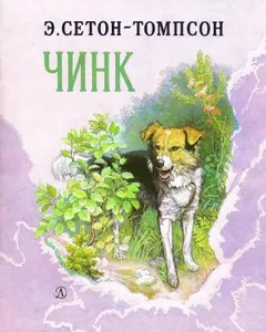 Чинк