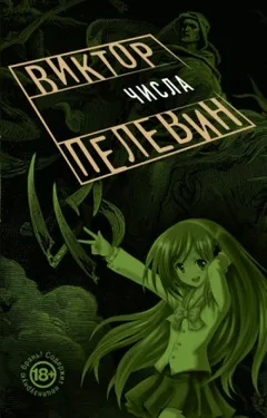 Числа