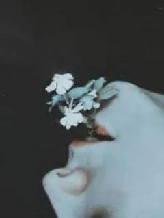 Чрево
