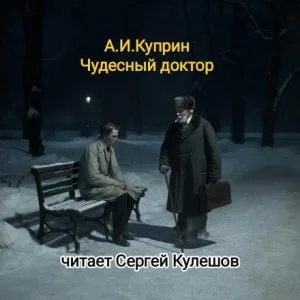 Чудесный доктор