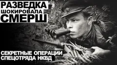 Дело № 12. Разведка шокировала СМЕРШ