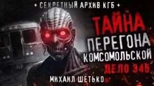 Дело №345. Перегон "Комсомольской"
