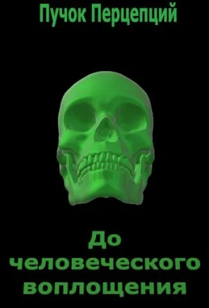 До человеческого воплощения