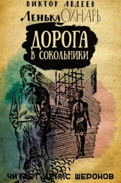 Дорога в Сокольники