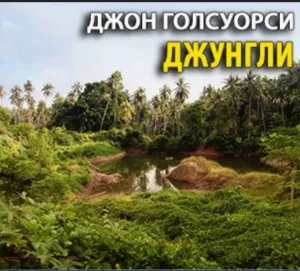 Джунгли