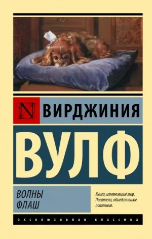 Флаш