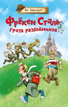 Фрёкен Сталь – гроза разбойников