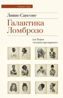 Галактика Ломброзо или Теория «человека преступного»