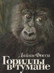 Гориллы в тумане