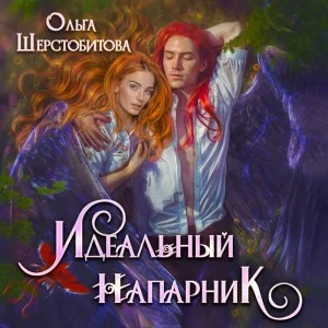 Идеальный напарник