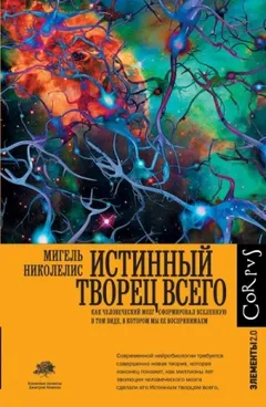 Истинный творец всего. Как человеческий мозг сформировал вселенную в том виде, в котором мы ее воспр