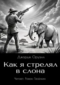 Как я стрелял в слона