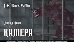 Камера