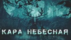 Кара небесная