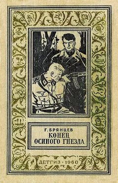 Конец осиного гнезда