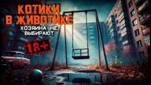 Котики в животике