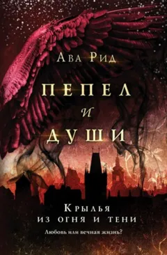 Крылья из огня и тени