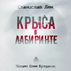 Крыса в лабиринте