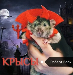 Крысы / Чёрный ящик