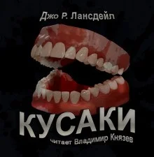 Кусаки