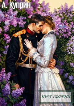 Куст сирени