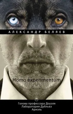 Лаборатория Дубльвэ