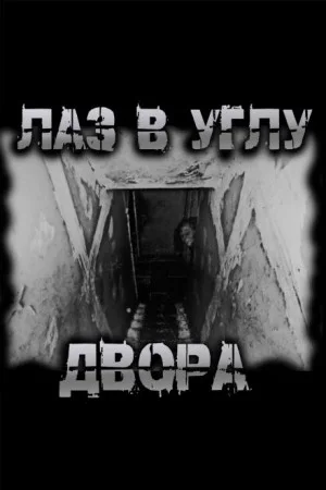 Лаз в углу двора