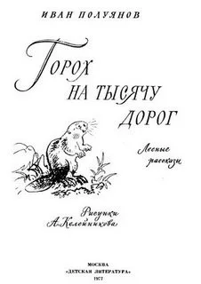Лесные рассказы