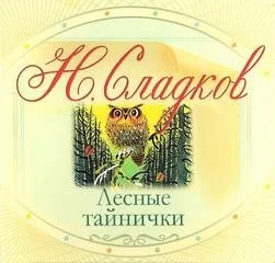 Лесные тайнички