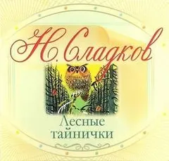 Лесные тайнички