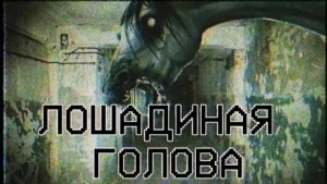 Лошадиная голова