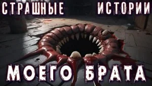 Лучшие страшные истории моего брата