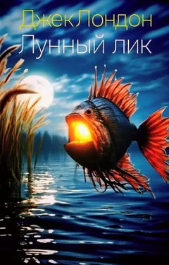 Лунный лик