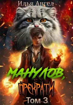Мастер печатей. Том 1