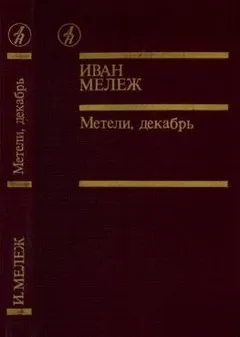 Метель, декабрь