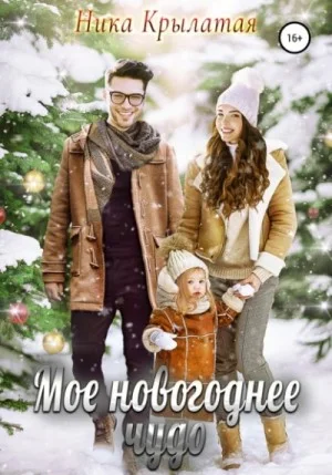 Мое новогоднее чудо
