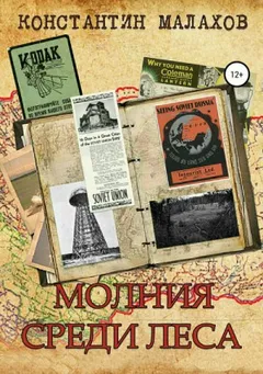 Молния среди леса
