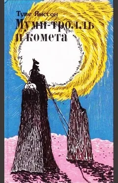 Муми-тролли: 2. Муми-тролль и комета