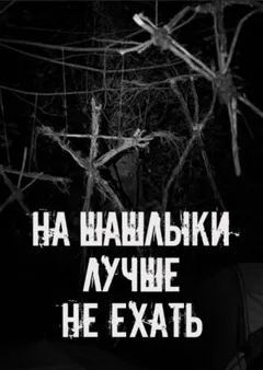 На шашлыки лучше не ехать!